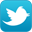 twitter link